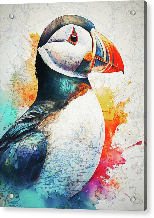 Atlantic Puffin And Maine Coast Map - Acrylic Print