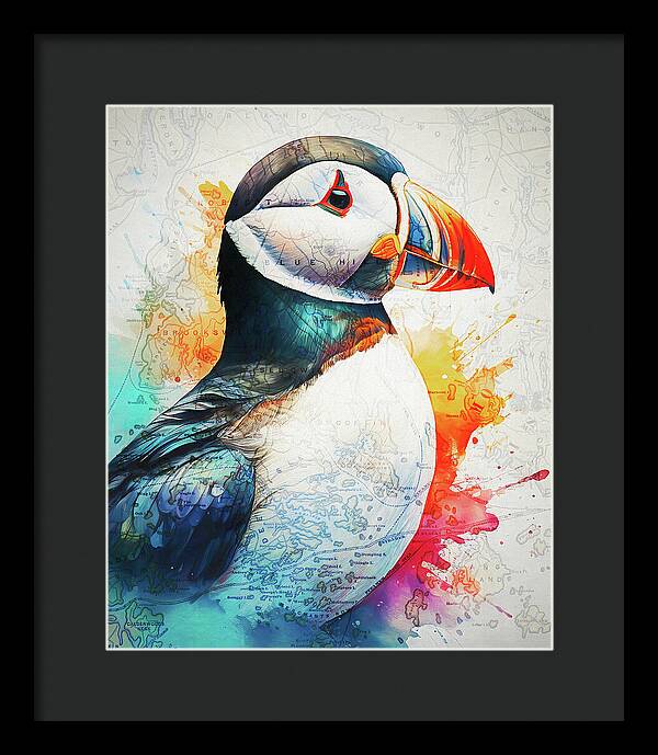 Atlantic Puffin And Maine Coast Map - Framed Print