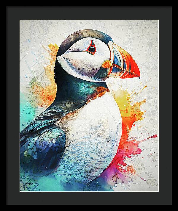 Atlantic Puffin And Maine Coast Map - Framed Print