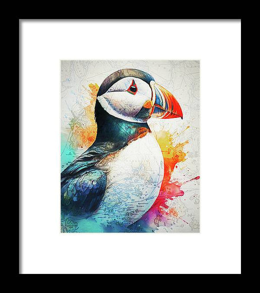 Atlantic Puffin And Maine Coast Map - Framed Print