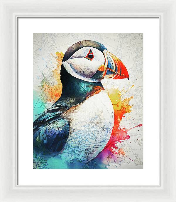 Atlantic Puffin And Maine Coast Map - Framed Print