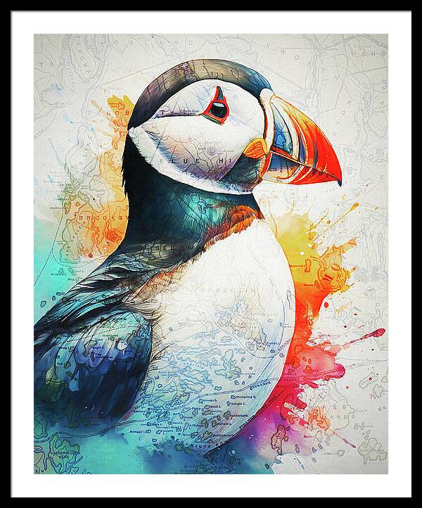 Atlantic Puffin And Maine Coast Map - Framed Print