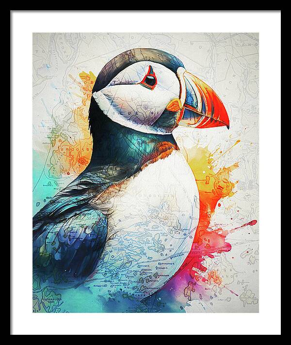 Atlantic Puffin And Maine Coast Map - Framed Print