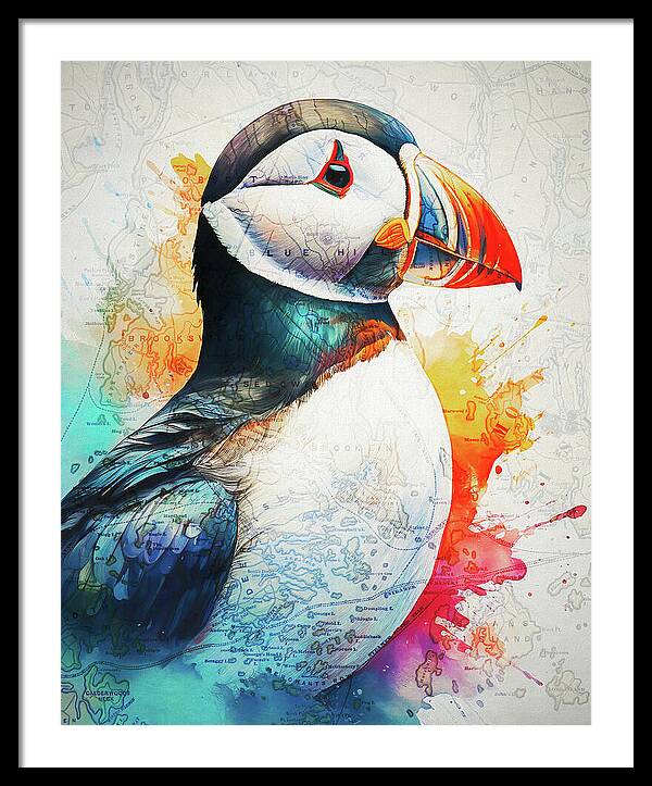 Atlantic Puffin And Maine Coast Map - Framed Print