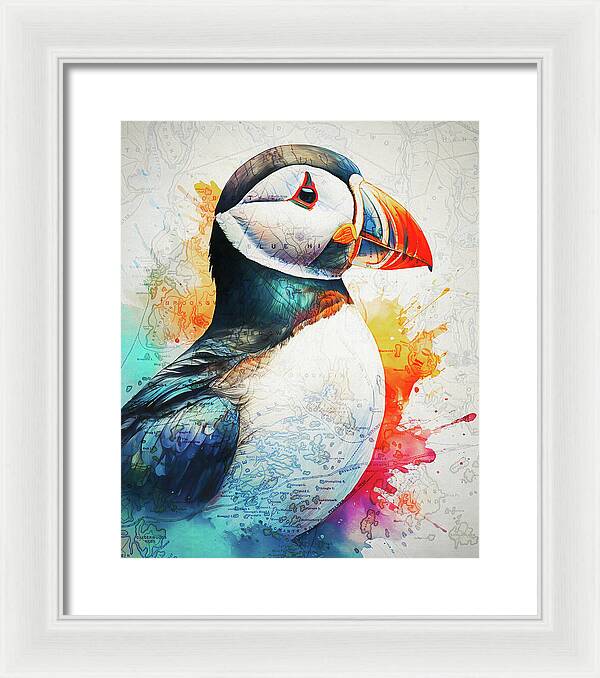 Atlantic Puffin And Maine Coast Map - Framed Print