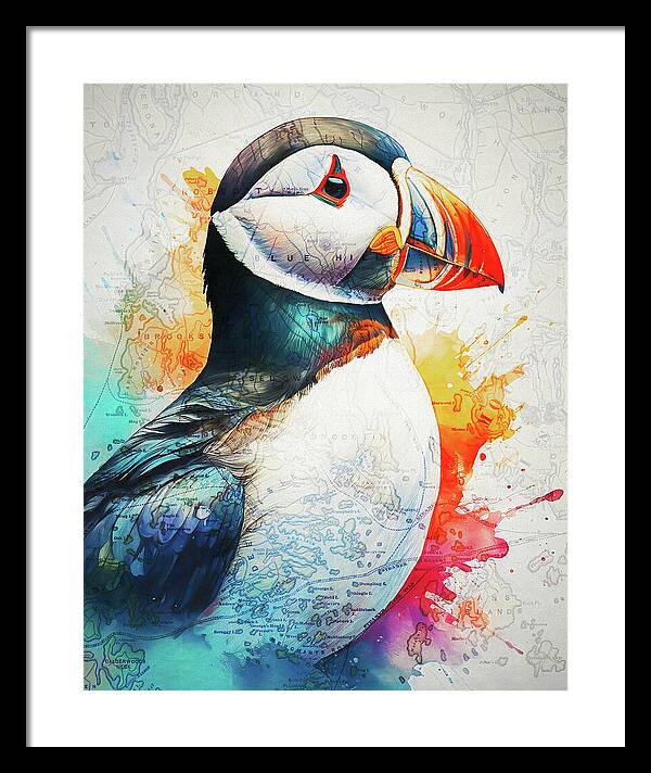 Atlantic Puffin And Maine Coast Map - Framed Print