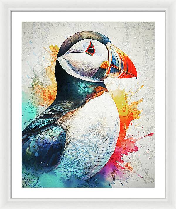 Atlantic Puffin And Maine Coast Map - Framed Print