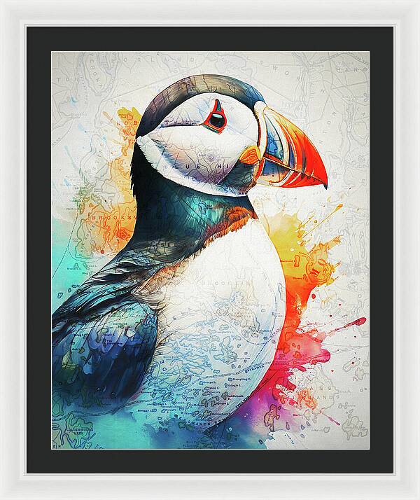 Atlantic Puffin And Maine Coast Map - Framed Print