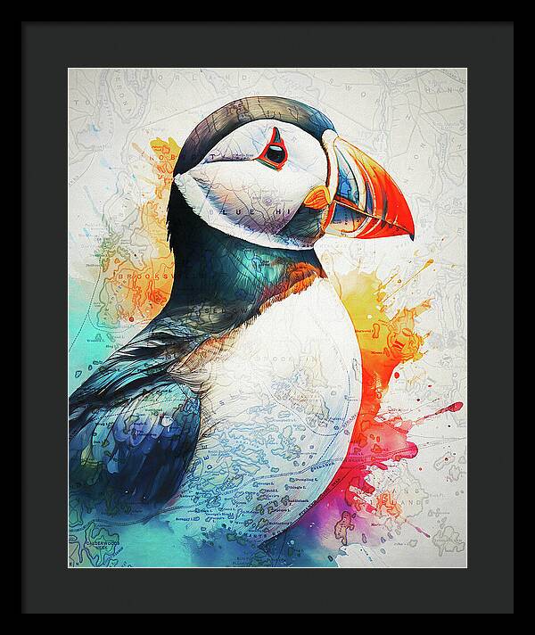 Atlantic Puffin And Maine Coast Map - Framed Print