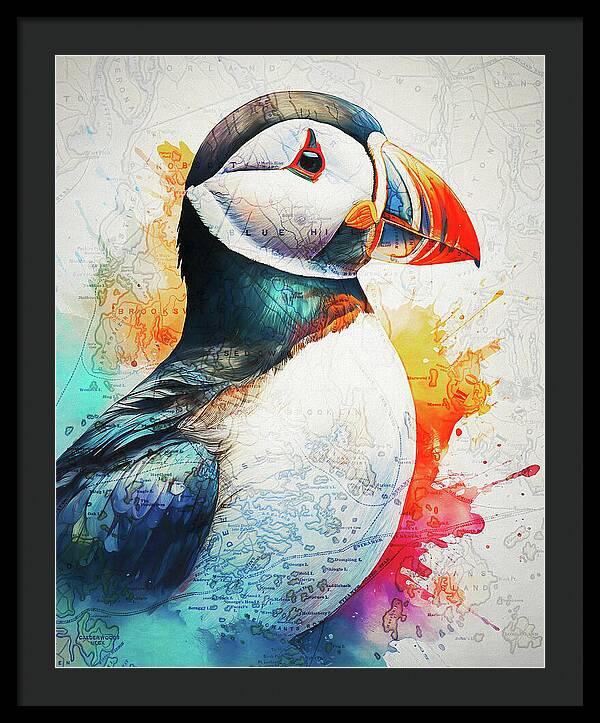 Atlantic Puffin And Maine Coast Map - Framed Print