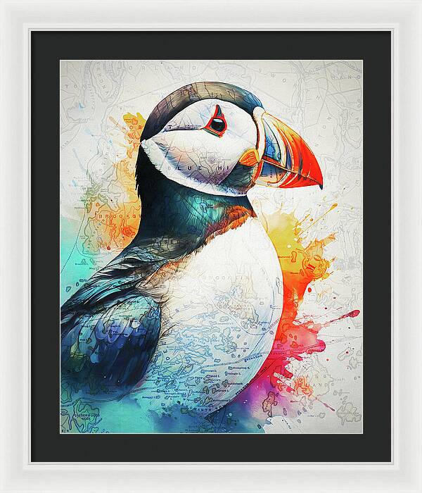 Atlantic Puffin And Maine Coast Map - Framed Print