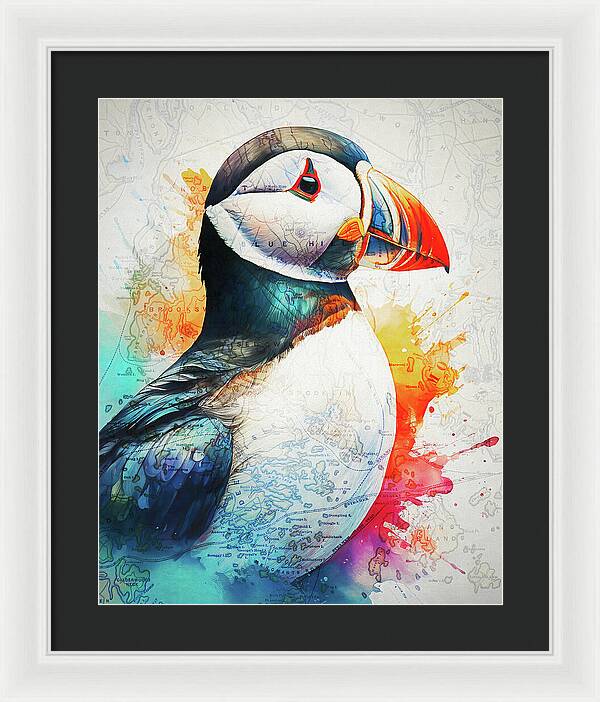 Atlantic Puffin And Maine Coast Map - Framed Print