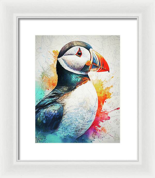 Atlantic Puffin And Maine Coast Map - Framed Print