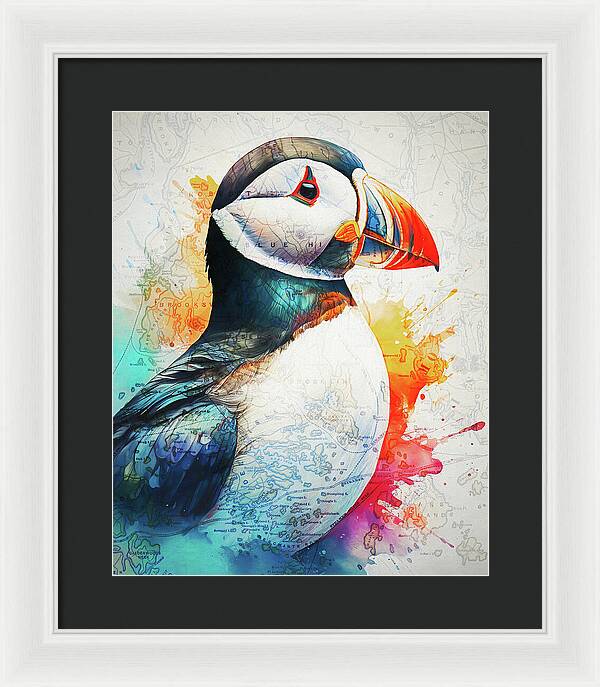 Atlantic Puffin And Maine Coast Map - Framed Print