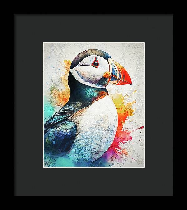 Atlantic Puffin And Maine Coast Map - Framed Print