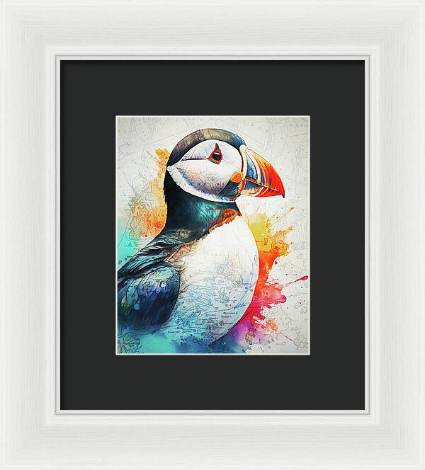 Atlantic Puffin And Maine Coast Map - Framed Print