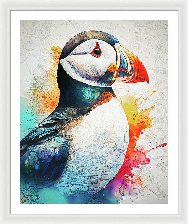 Atlantic Puffin And Maine Coast Map - Framed Print