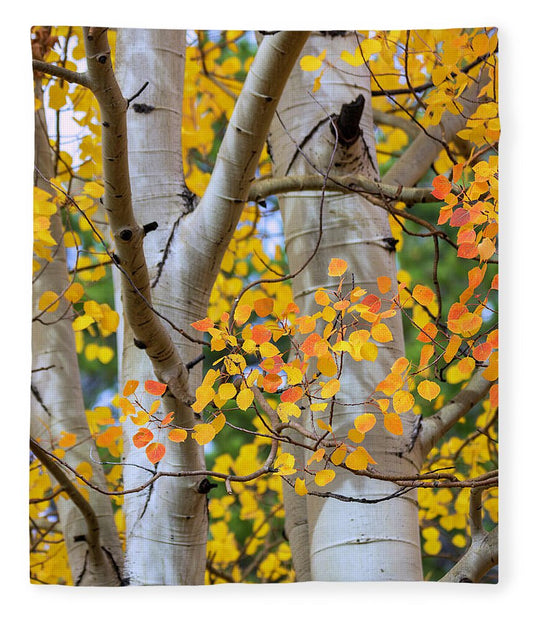 Autumn Aspen Leaves In Colorado - Blanket