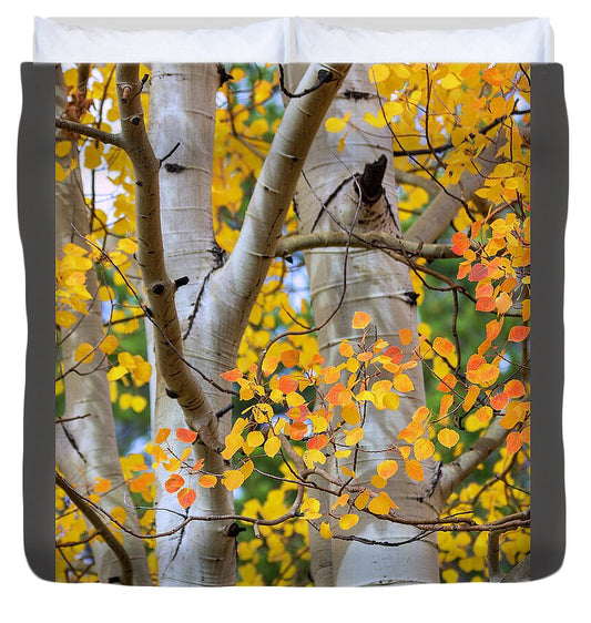 Autumn Aspen Leaves In Colorado - Duvet Cover