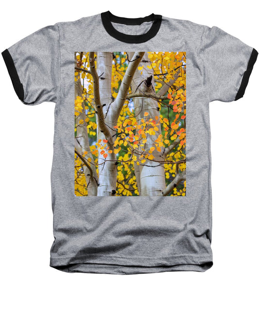 Autumn Aspen Leaves In Colorado - Baseball T-Shirt