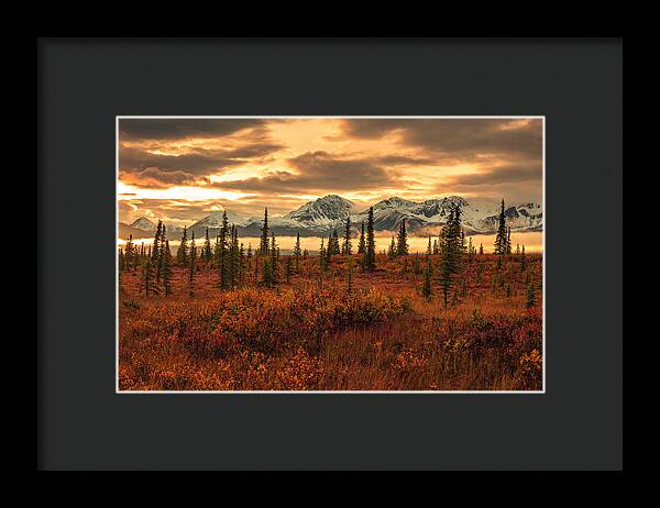 Autumn Sunrise On Denali Highway - Framed Print