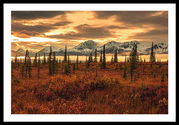 Autumn Sunrise On Denali Highway - Framed Print