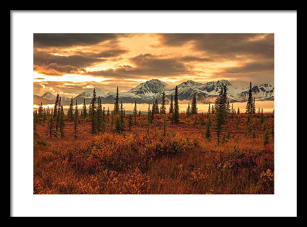 Autumn Sunrise On Denali Highway - Framed Print