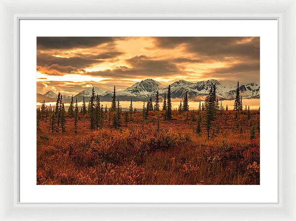 Autumn Sunrise On Denali Highway - Framed Print