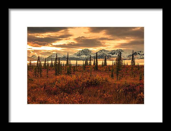 Autumn Sunrise On Denali Highway - Framed Print