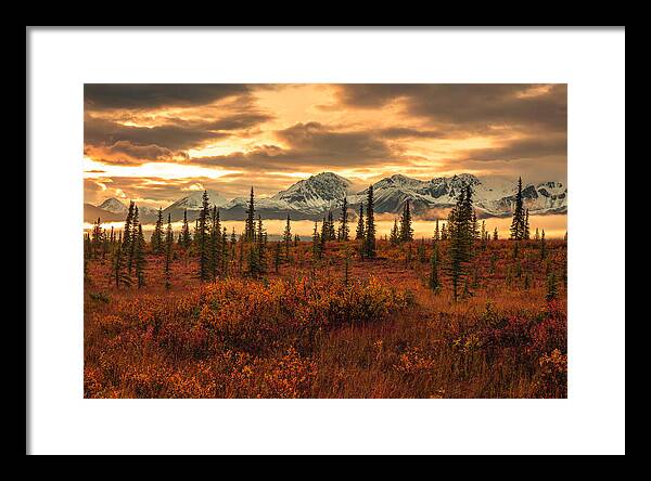 Autumn Sunrise On Denali Highway - Framed Print