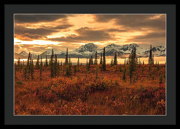 Autumn Sunrise On Denali Highway - Framed Print