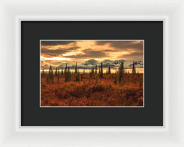 Autumn Sunrise On Denali Highway - Framed Print