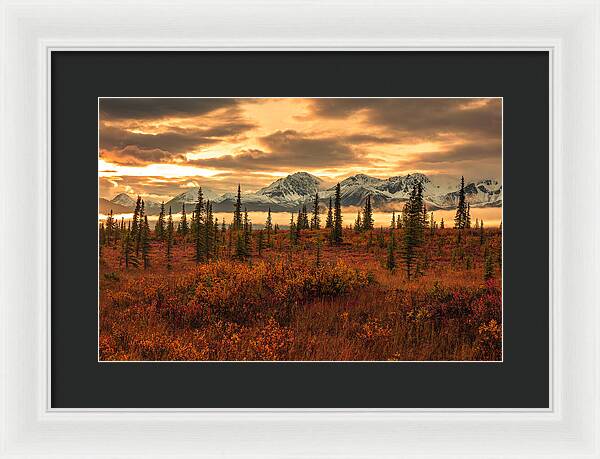 Autumn Sunrise On Denali Highway - Framed Print