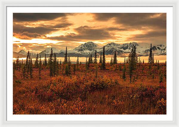 Autumn Sunrise On Denali Highway - Framed Print