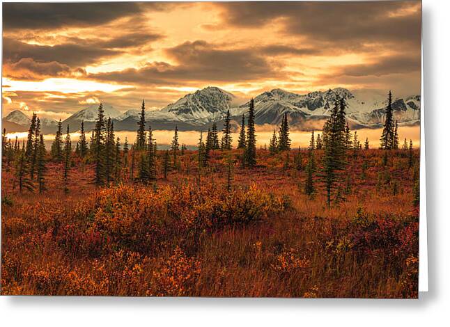 Autumn Sunrise On Denali Highway - Greeting Card