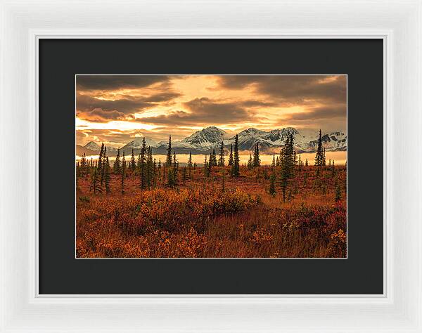 Autumn Sunrise On Denali Highway - Framed Print