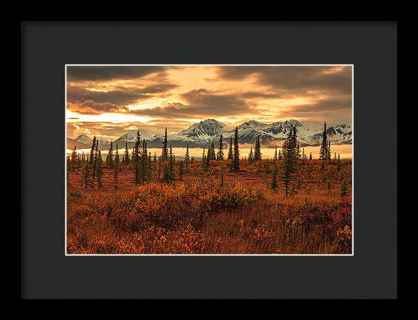 Autumn Sunrise On Denali Highway - Framed Print