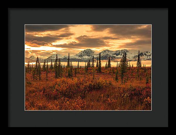 Autumn Sunrise On Denali Highway - Framed Print