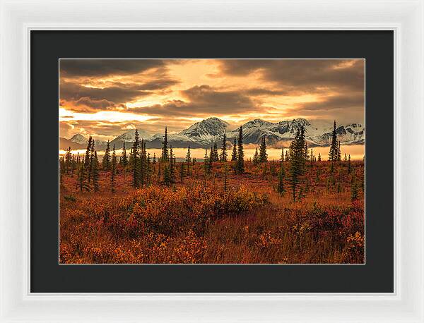 Autumn Sunrise On Denali Highway - Framed Print