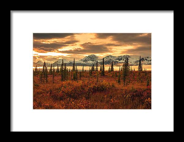 Autumn Sunrise On Denali Highway - Framed Print