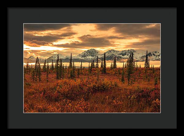 Autumn Sunrise On Denali Highway - Framed Print