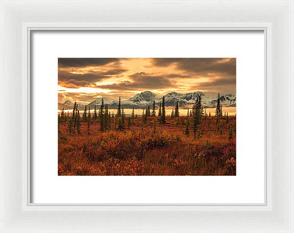 Autumn Sunrise On Denali Highway - Framed Print