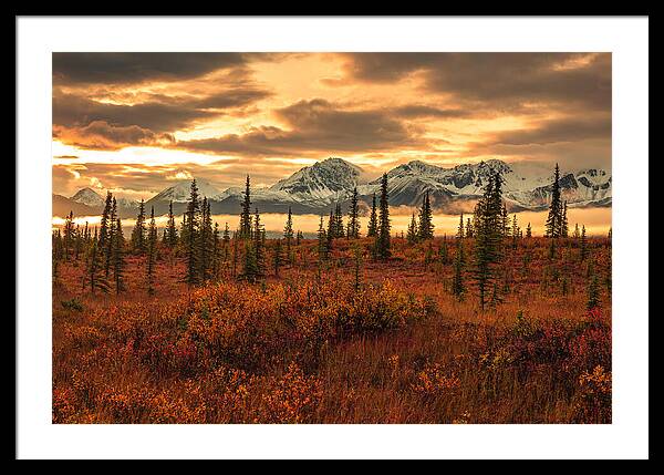 Autumn Sunrise On Denali Highway - Framed Print