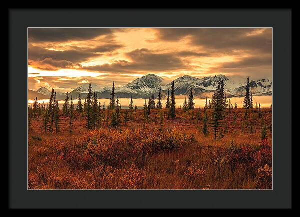 Autumn Sunrise On Denali Highway - Framed Print