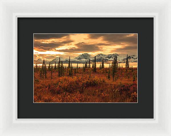 Autumn Sunrise On Denali Highway - Framed Print