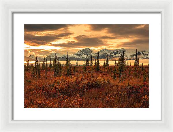 Autumn Sunrise On Denali Highway - Framed Print