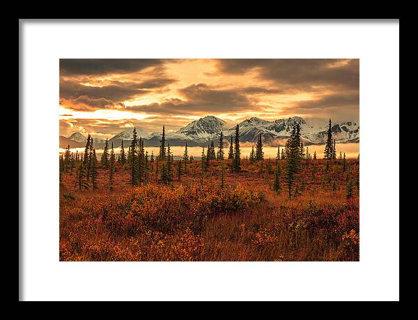 Autumn Sunrise On Denali Highway - Framed Print