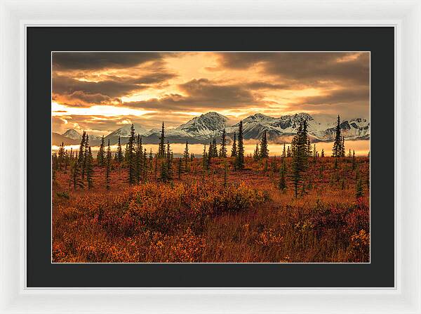 Autumn Sunrise On Denali Highway - Framed Print