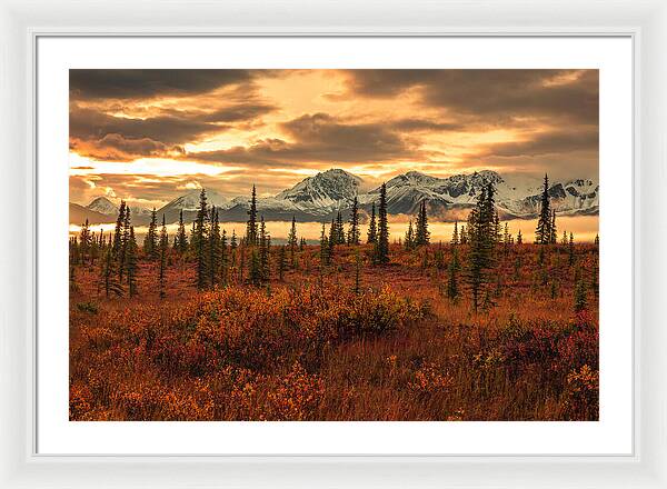 Autumn Sunrise On Denali Highway - Framed Print