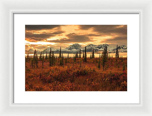 Autumn Sunrise On Denali Highway - Framed Print